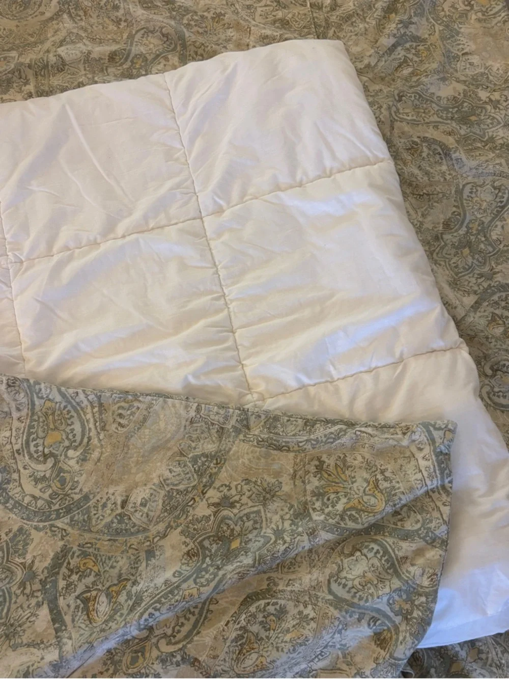 Pottery Barn Twin Paisley Duvet Cover + Serta Twin Comforter Insert